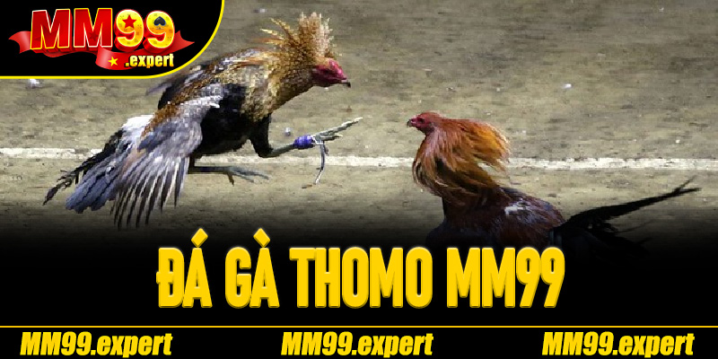 Đá Gà Thomo MM99